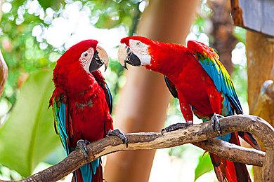 网易集英社手游《unVEIL the world》新预告 少女登塔之旅